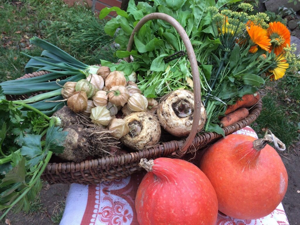 Gemüse © Gemüsebau Anja Lademann und Thomas Friebel