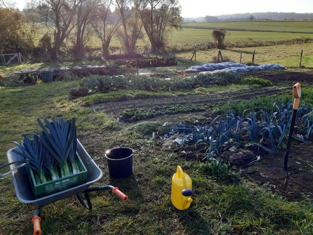 Acker © Gemüsebau Lydia Täschner