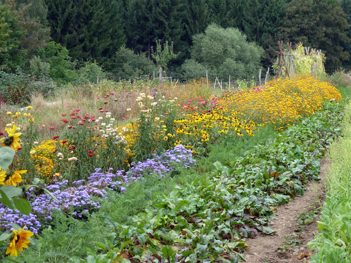 Acker © Landwirtschaftsbetrieb Johannishöhe