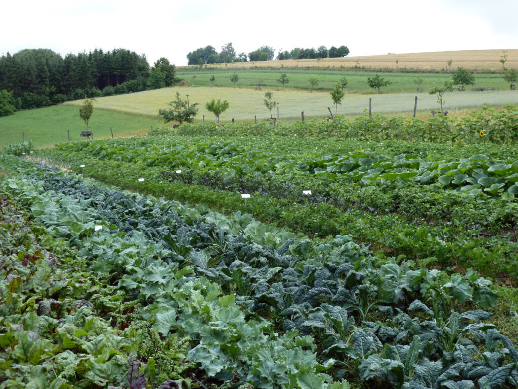 Acker © Landwirtschaftsbetrieb Johannishöhe