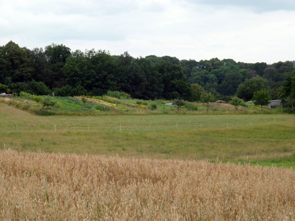 Acker © Landwirtschaftsbetrieb Johannishöhe