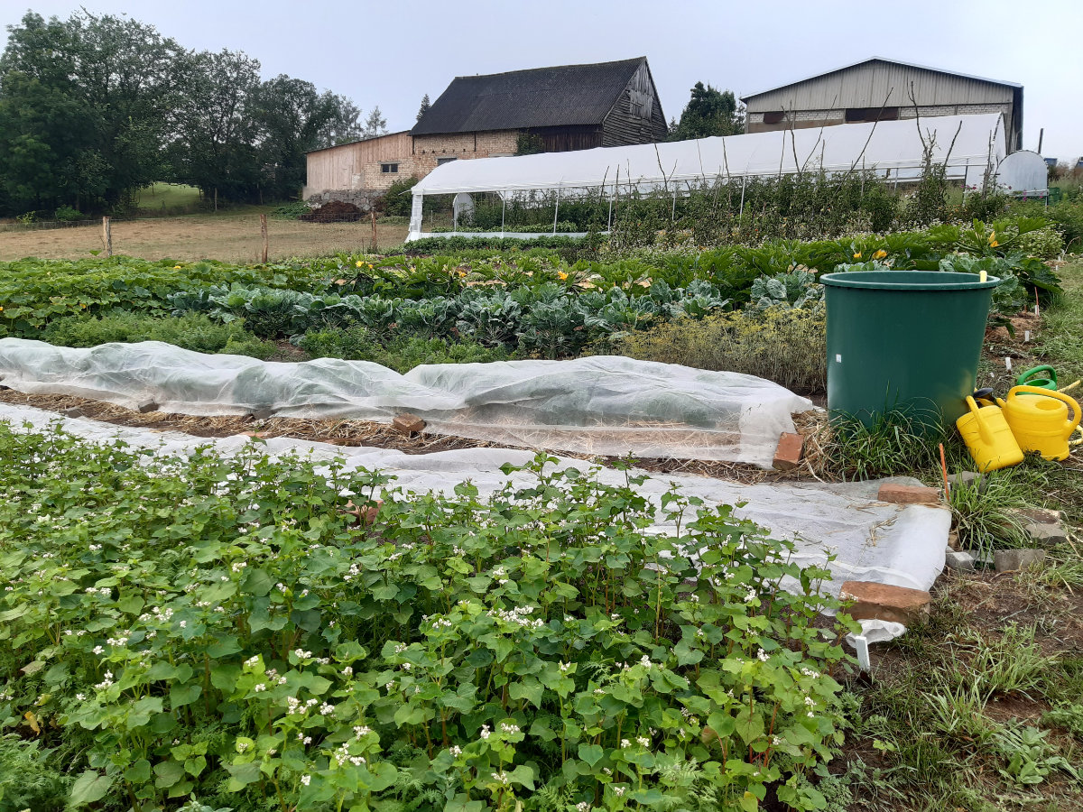 Acker © Gemüsebau Lydia Täschner