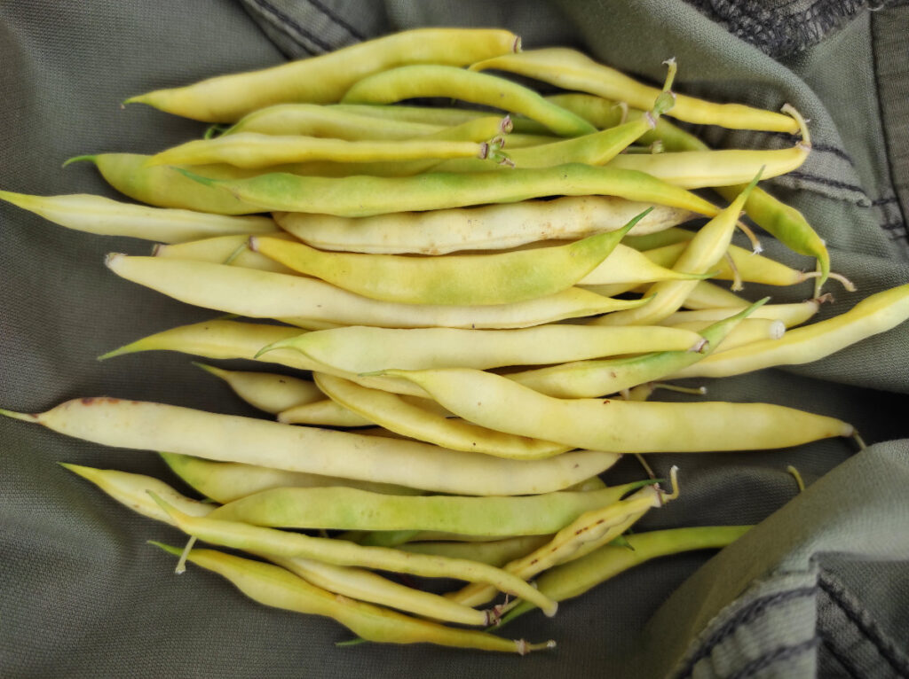 Quellenangabe: VERN e.V.