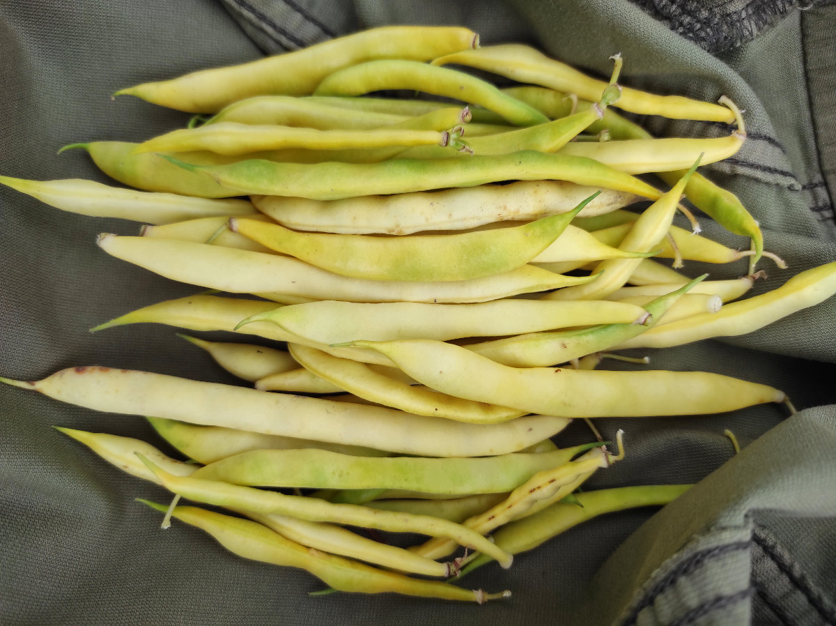 Quellenangabe: VERN e.V.