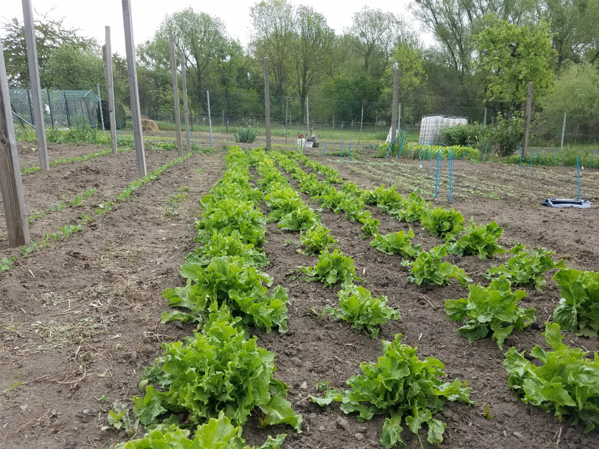 Quellenangabe: VERN e.V.