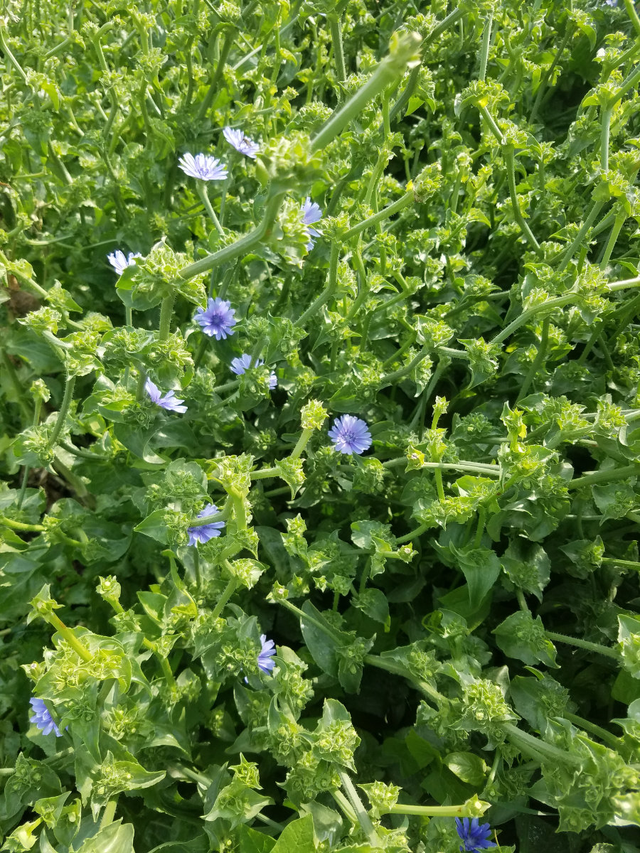 Quellenangabe: VERN e.V.