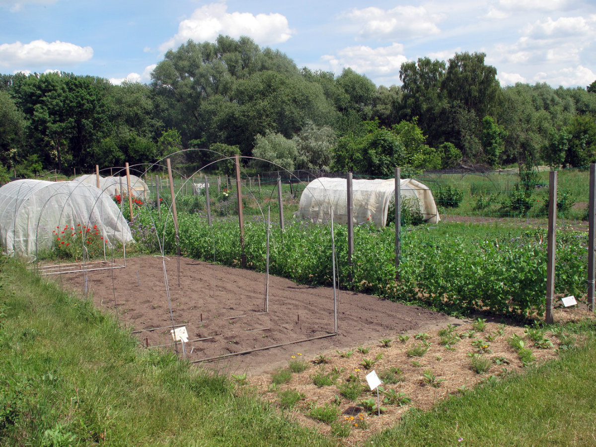 Garten © VERN e.V.