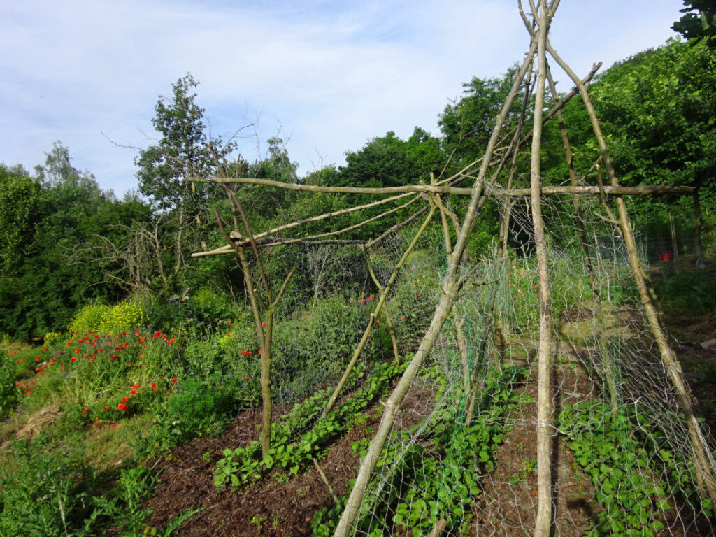 Garten © Saatgut- und Permakulturgarten Alt-Rosenthal