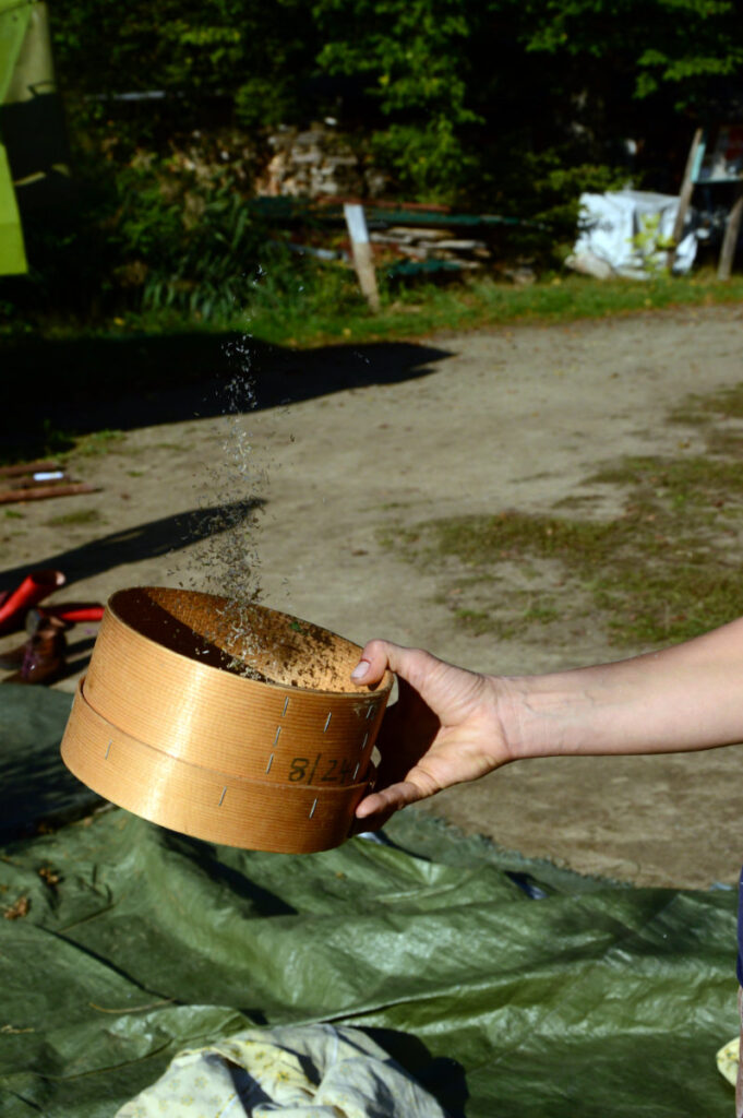 Saatgut © Landwirtschaftsbetrieb Johannishöhe