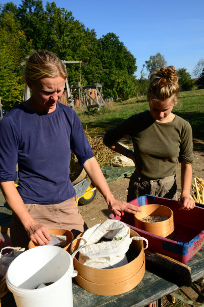 Saatgut © Landwirtschaftsbetrieb Johannishöhe