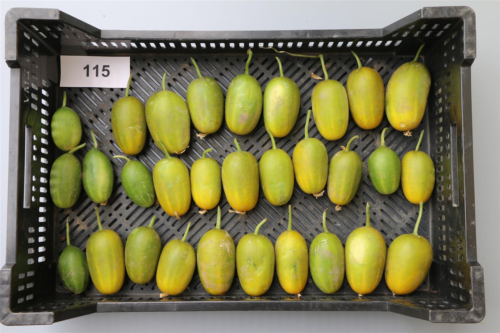 Quelle: Bundessortenamt 2020