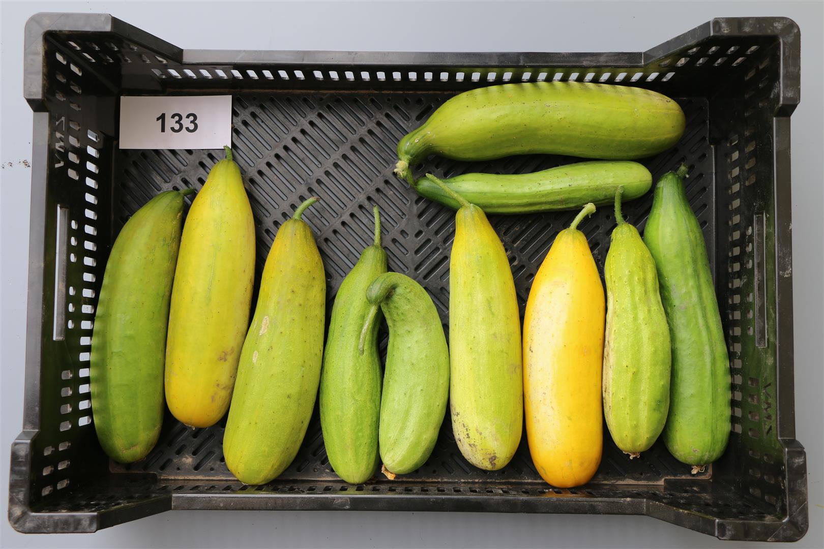 Quelle: Bundessortenamt 2020