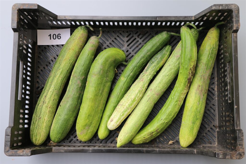 Quelle: Bundessortenamt 2020