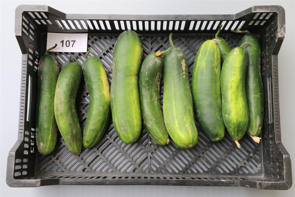 Quelle: Bundessortenamt 2020