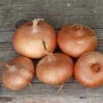 Quelle: Landwirtschaftsbetrieb Johannishöhe