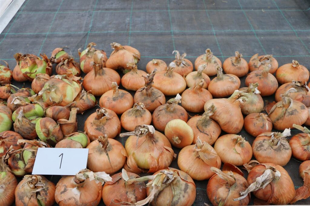 Quelle: Bundessortenamt 2020