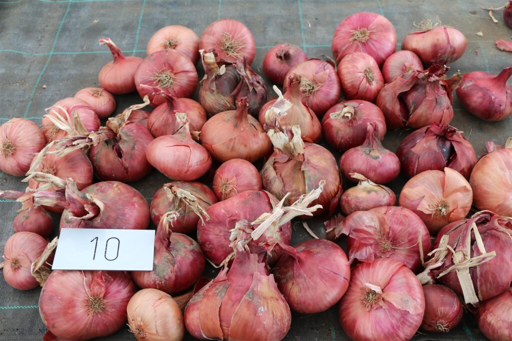 Quelle: Bundessortenamt 2020