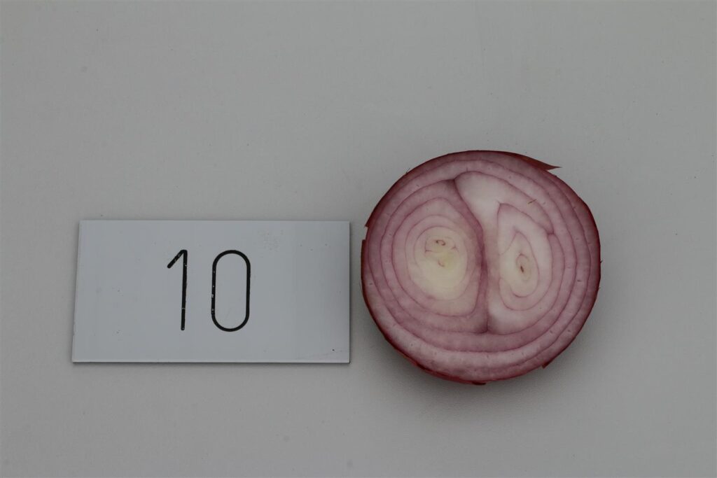 Quelle: Bundessortenamt 2020