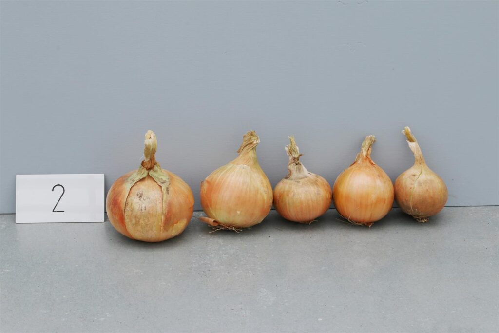 Quelle: Bundessortenamt 2019