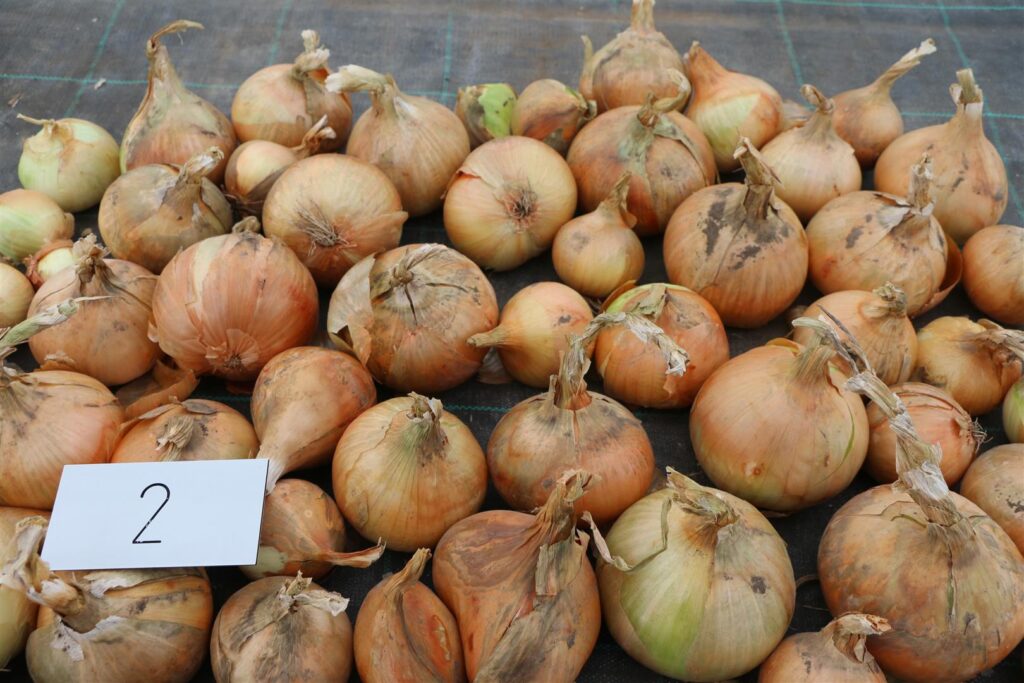 Quelle: Bundessortenamt 2019