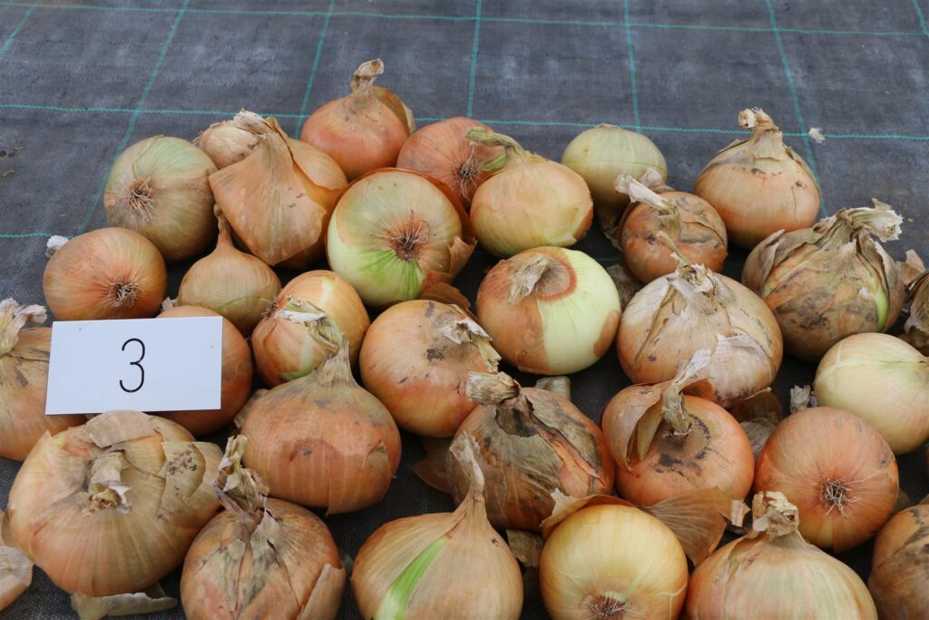 Quelle: Bundessortenamt 2019