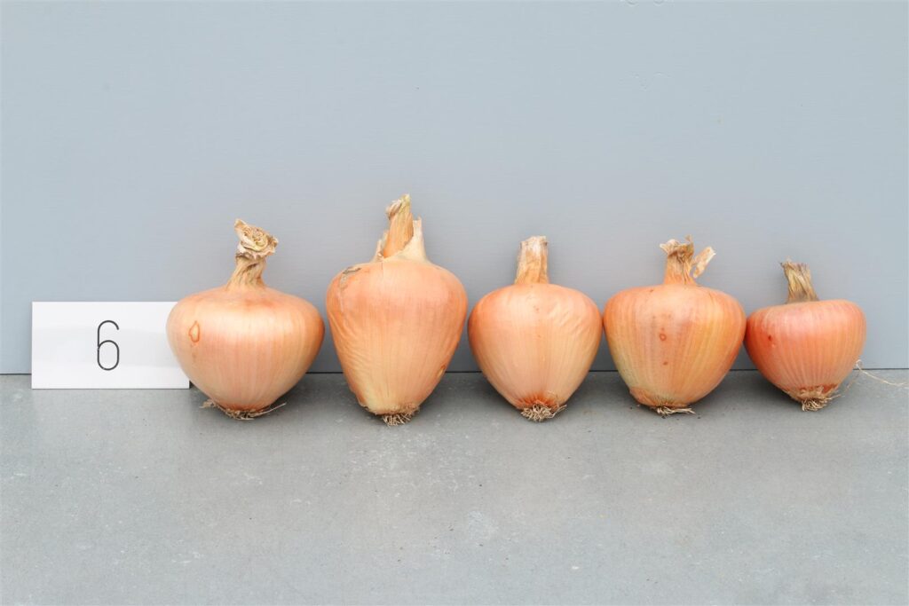 Quelle: Bundessortenamt 2020