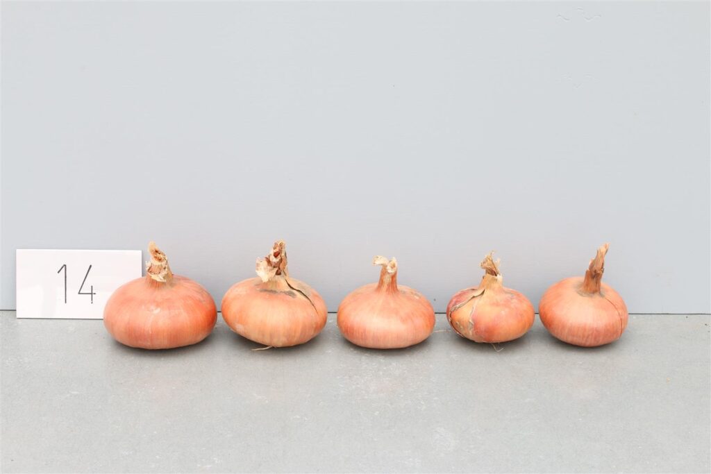 Quelle: Bundessortenamt 2019