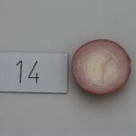 Quelle: Bundessortenamt 2019