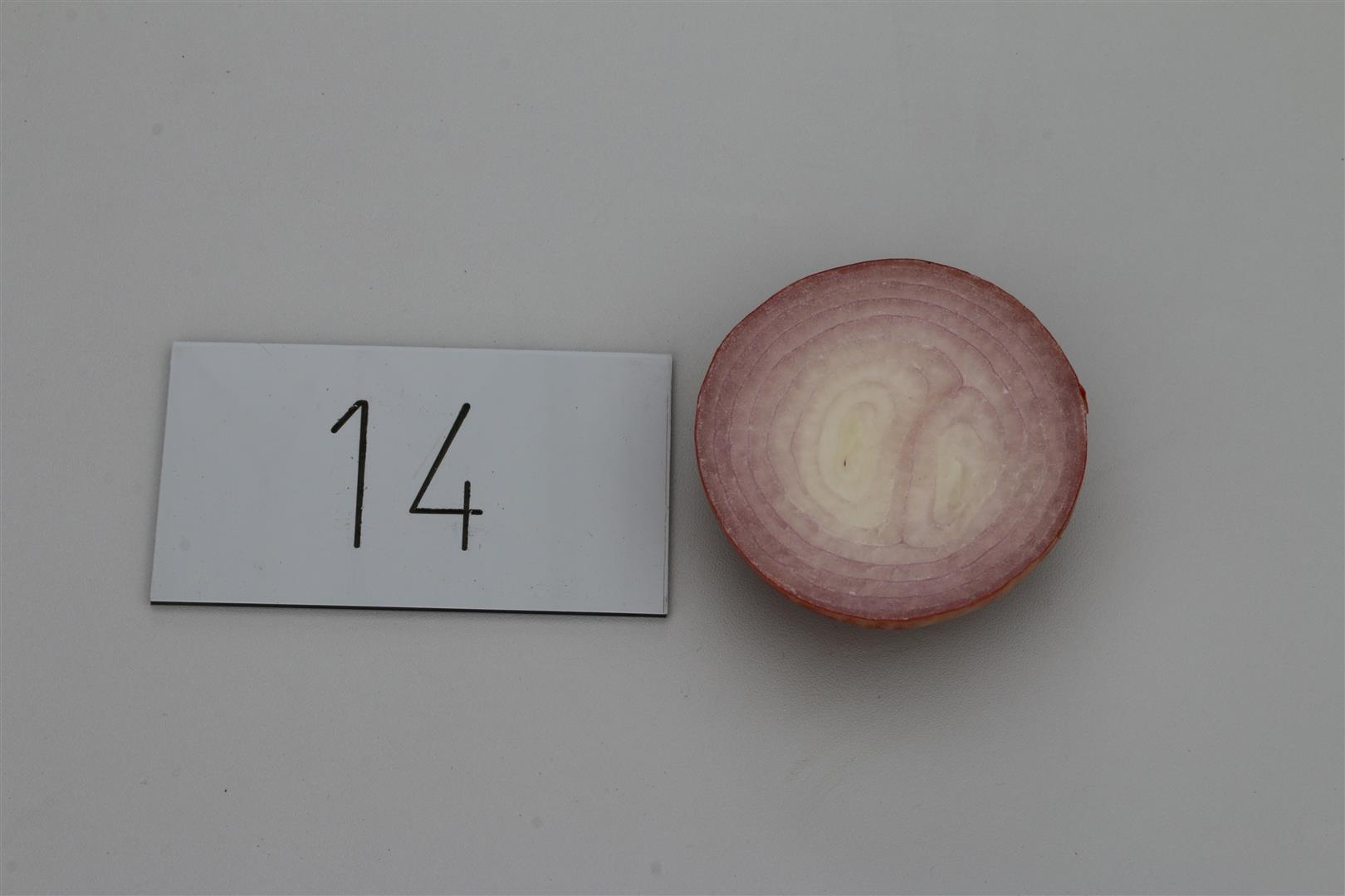 Quelle: Bundessortenamt 2019