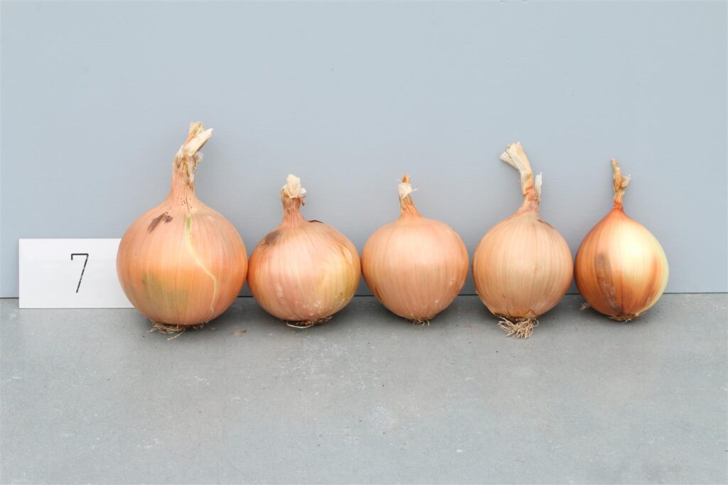 Quelle: Bundessortenamt 2020