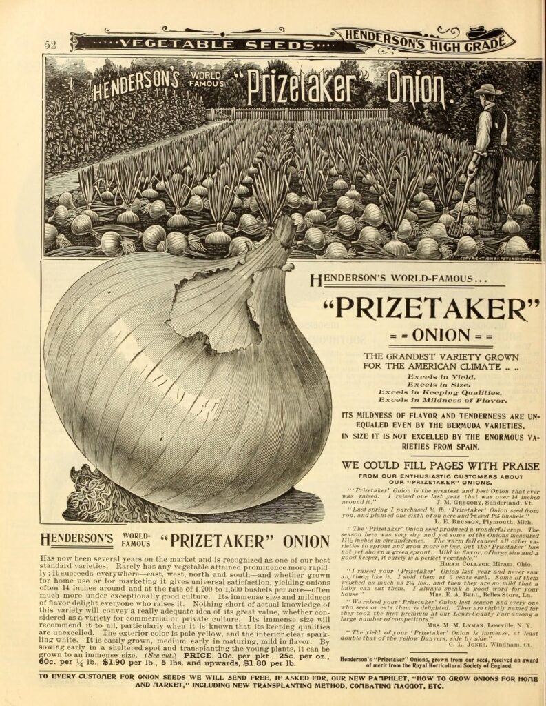 Quelle: Henry G. Gilbert Nursery and Seed Trade Catalog Collection.: Everything for the garden : 1902.