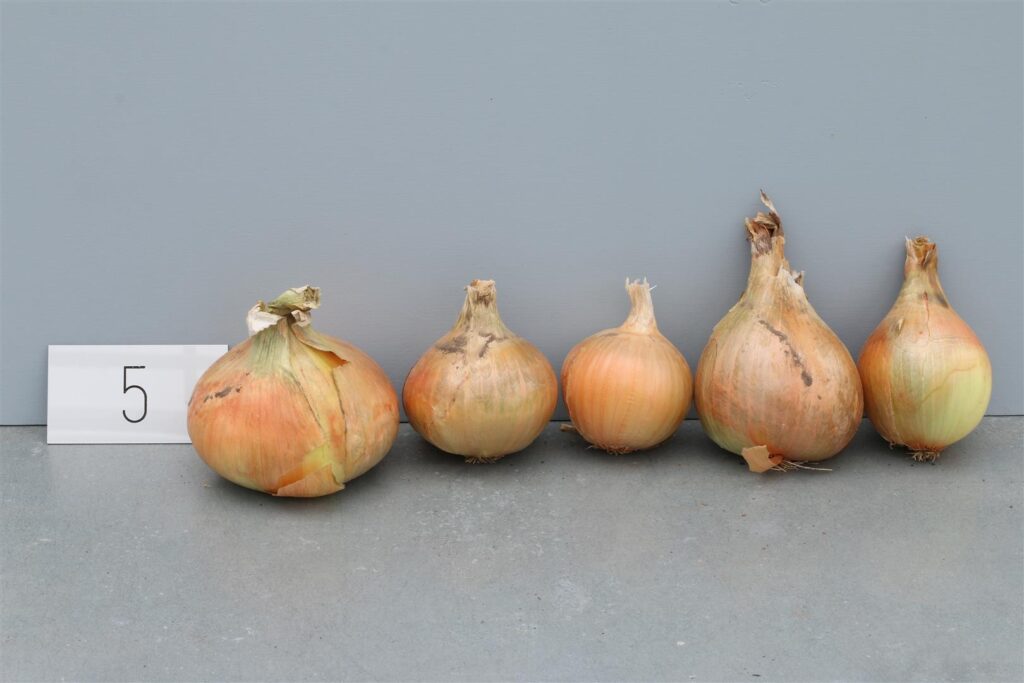 Quelle: Bundessortenamt 2020