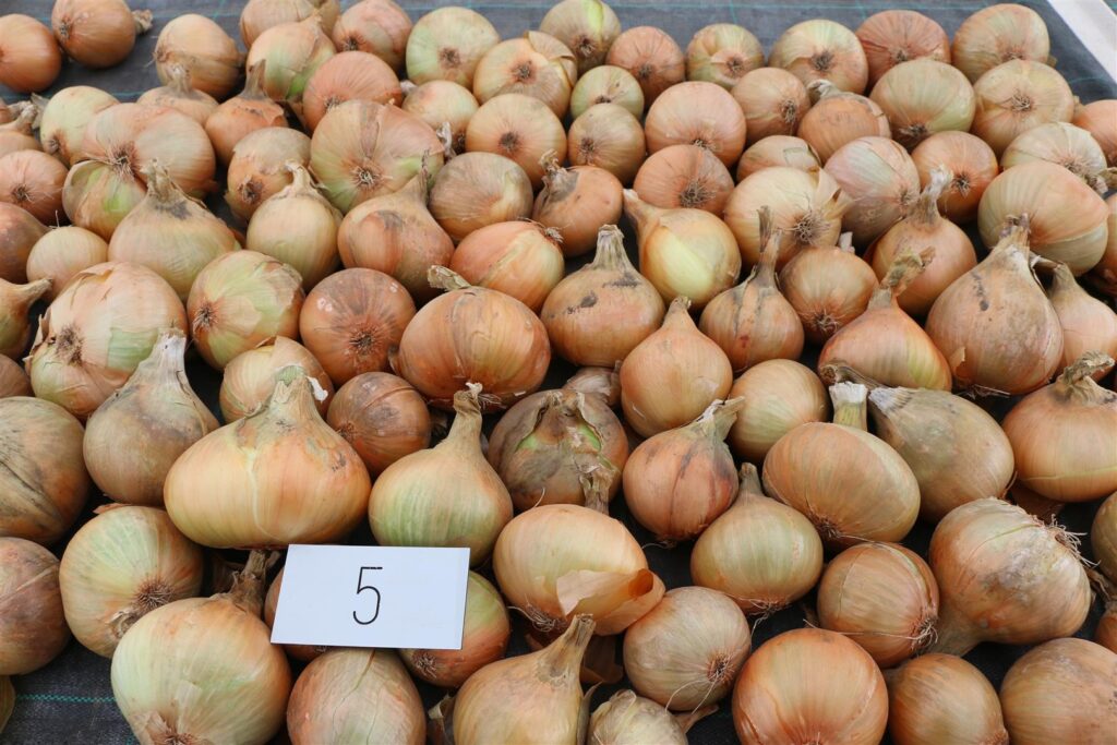 Quelle: Bundessortenamt 2020