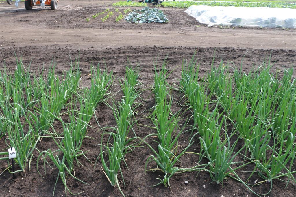 Quelle: Bundessortenamt 2020