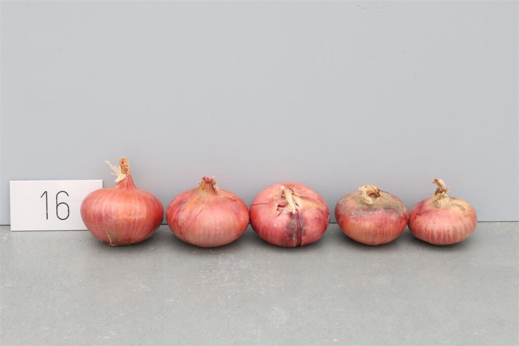 Quelle: Bundessortenamt 2020