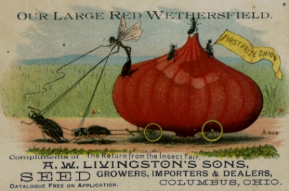 Quelle: A.W. Livingston's Sons Seed Growers, Importers, Dealers