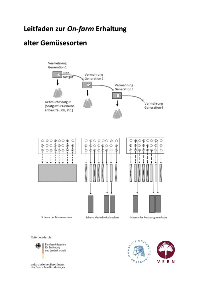 Leitfaden zur on-farm Erhaltung alter Gemüsesorten